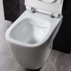 a toilet with the lid up