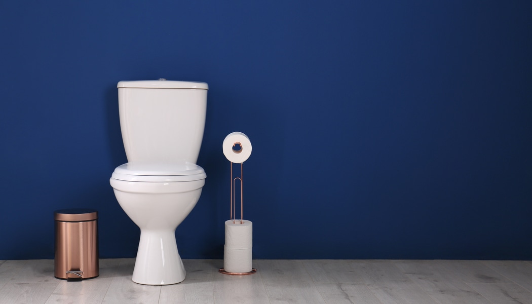 Read more about the article Securing And Attaching A Toilet To The Floor – How To